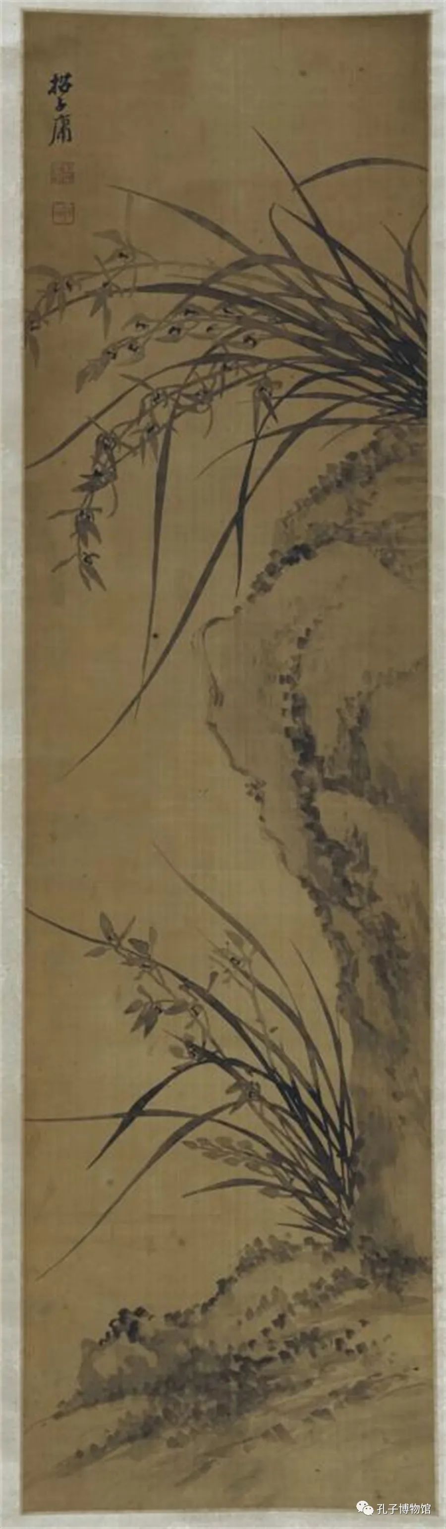 1676256347943207.jpg