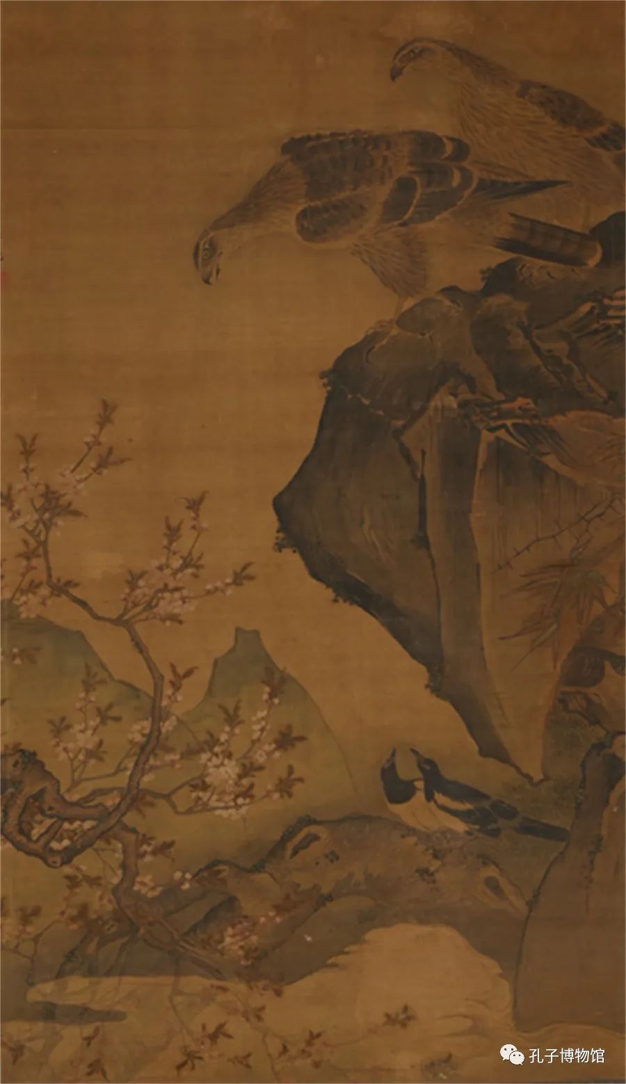 1678068067870430.png