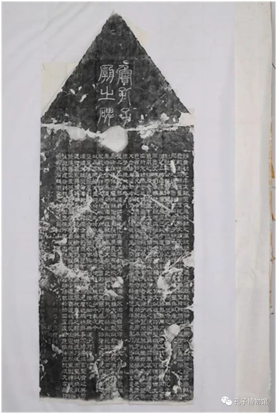 1686400452833758.jpg