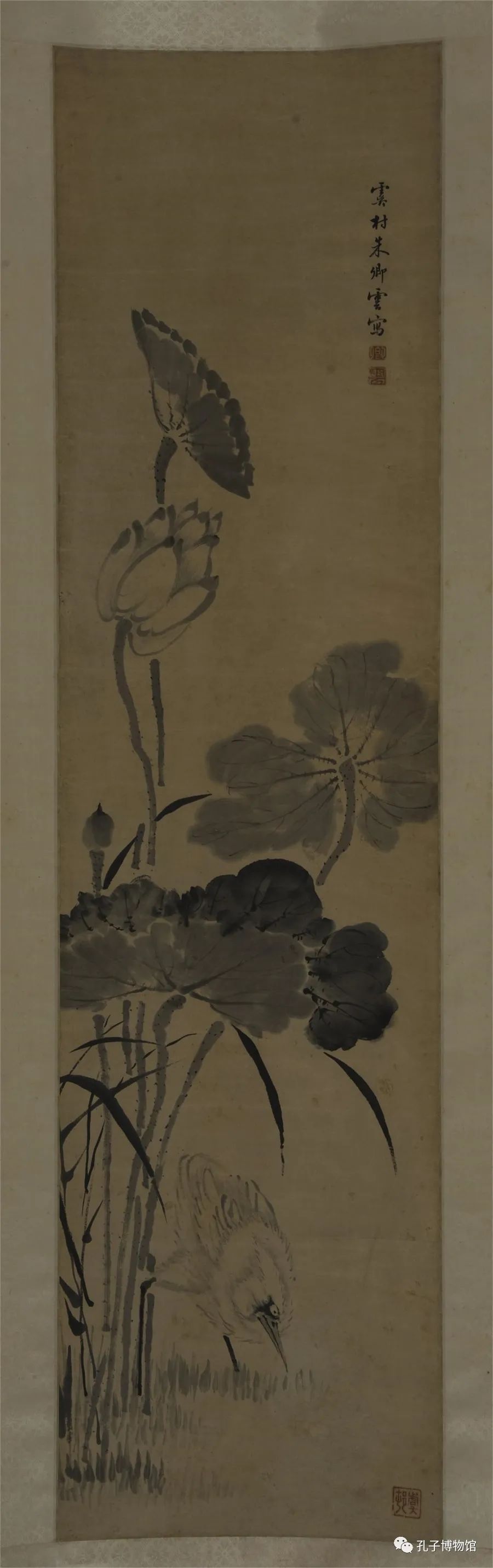 1689556823971681.jpg