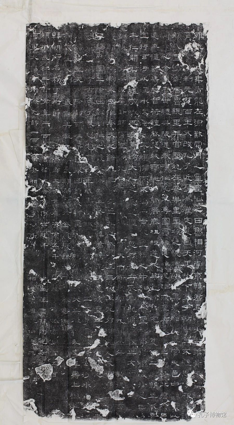 1690121747462272.jpg