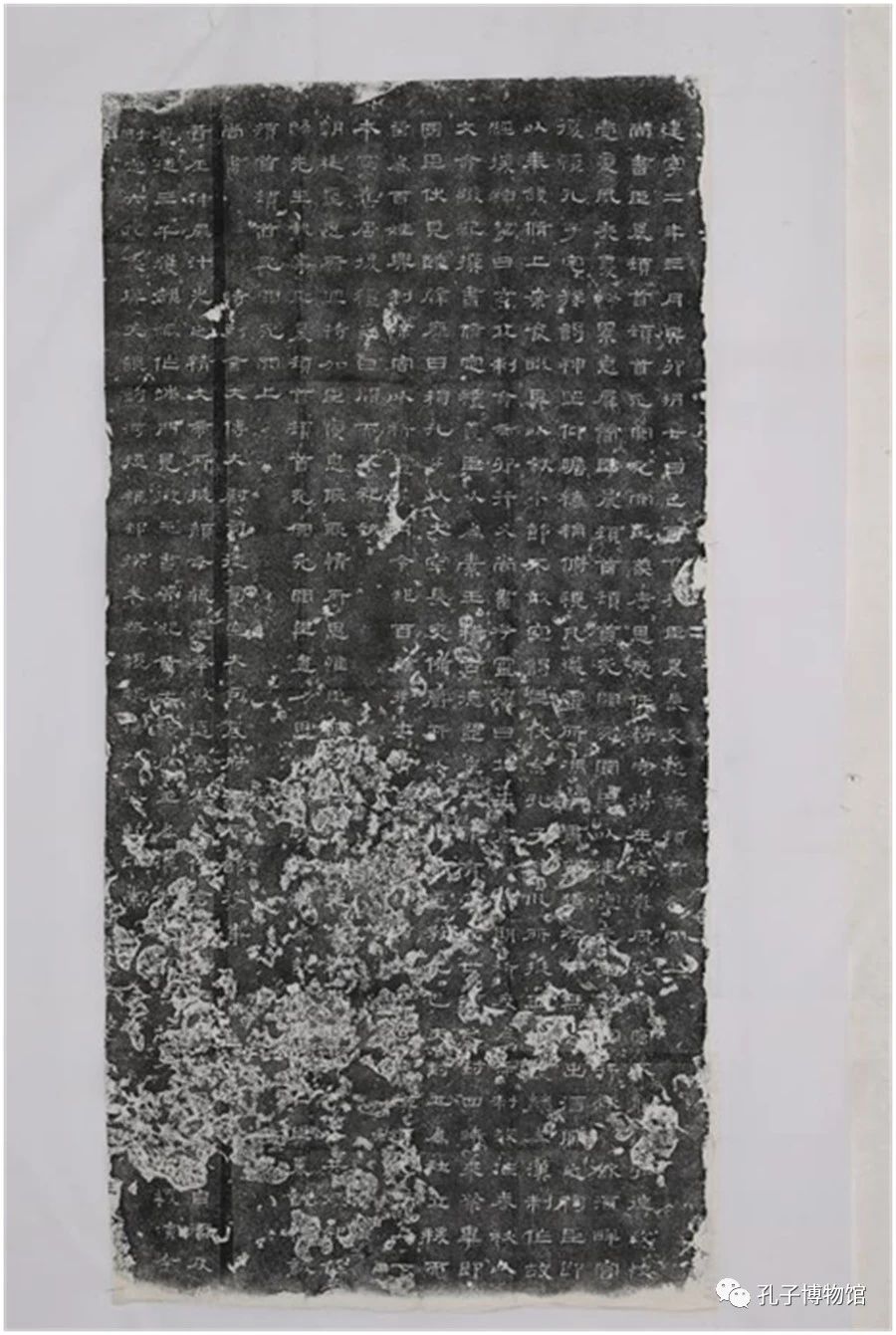 1690121824254714.jpg
