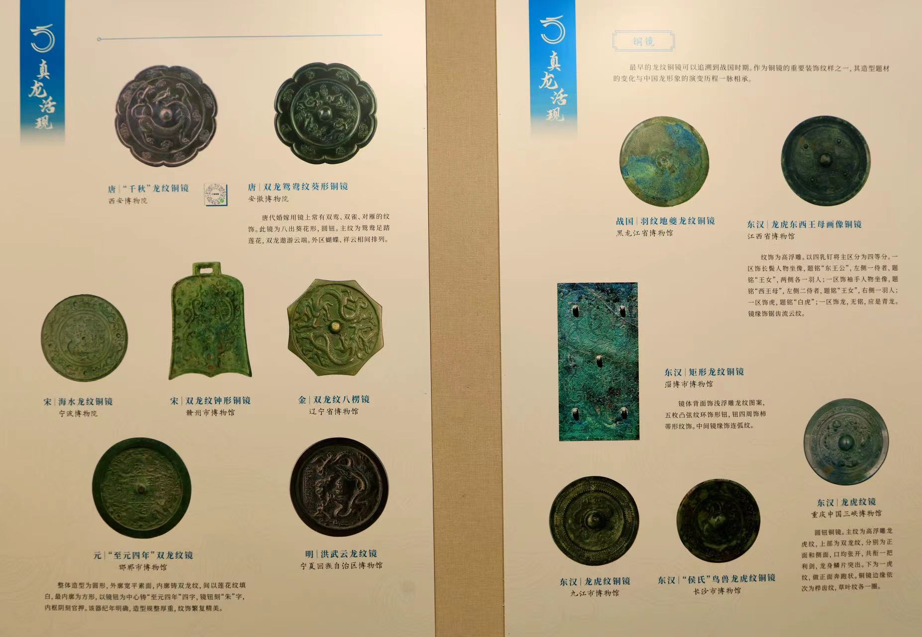 1708237106605005.jpg