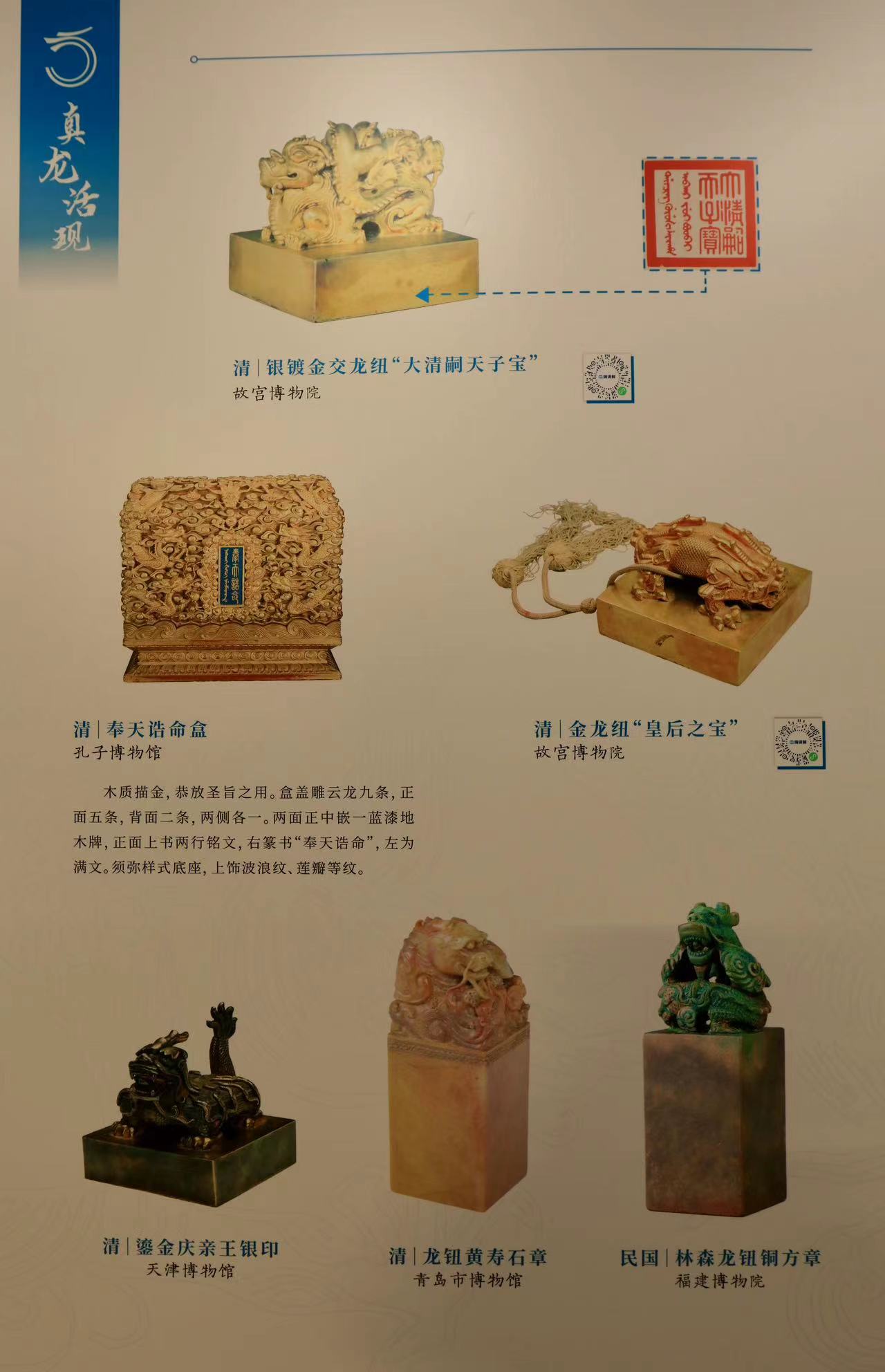 1708237221601566.jpg