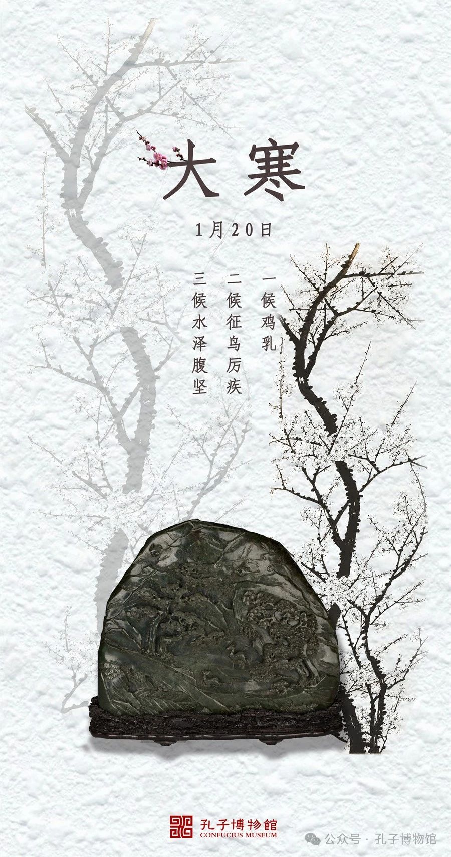 1709283910991509.jpg