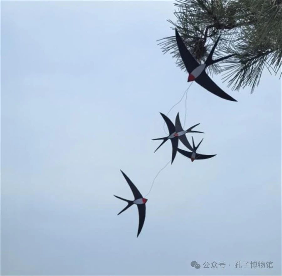 1710492567311076.jpg