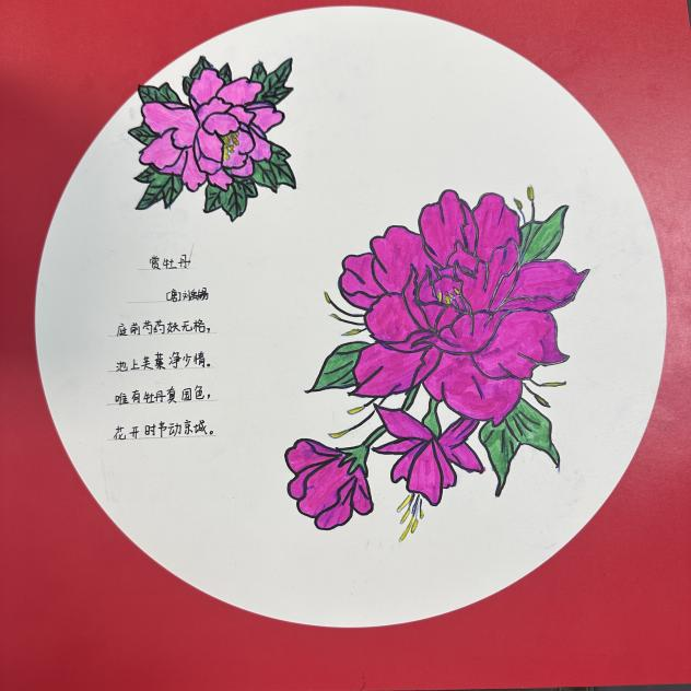 1744353334141604.png